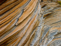12. Downed Tree - Mammoth Lakes, California