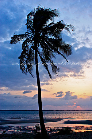 37. Sunset - Lamu, Kenya