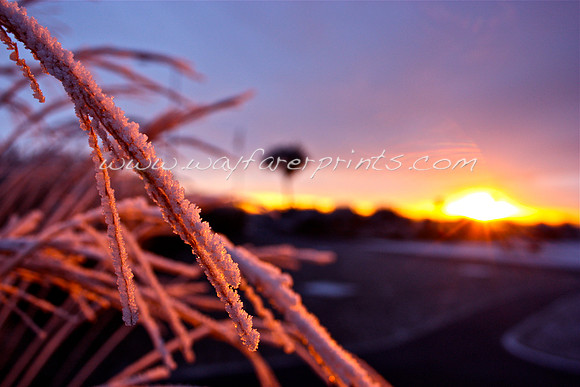 111. Morning Frost - Galway, Ireland