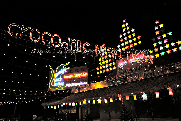 49. Crocodile Night Bazaar - Siem Reap, Cambodia