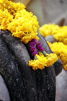 12. Buddha Hands - Ayutthaya, Thailand