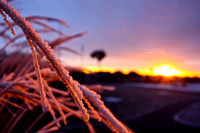 7. Morning Frost - Galway, Ireland