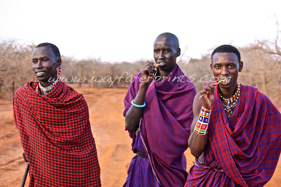 85. Masai Brushing - Masai Village near Amboseli National Park, Kenya