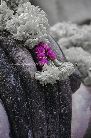 109. Buddha Hands - Ayutthaya, Thailand